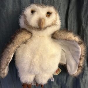 Folkmans owl puppet